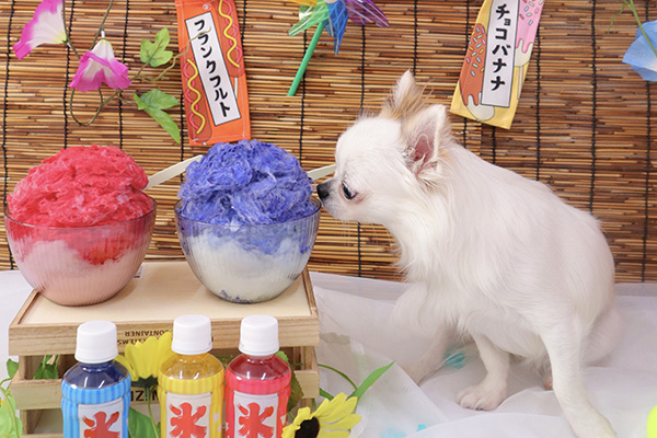 豊富なサービス内容、イベント行事