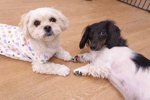 アットホームな環境